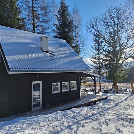 Domek Dorota Z Widokiem Na Gory Lasowka 5Km Do Zieleniec Ski Arena Bagian luar foto